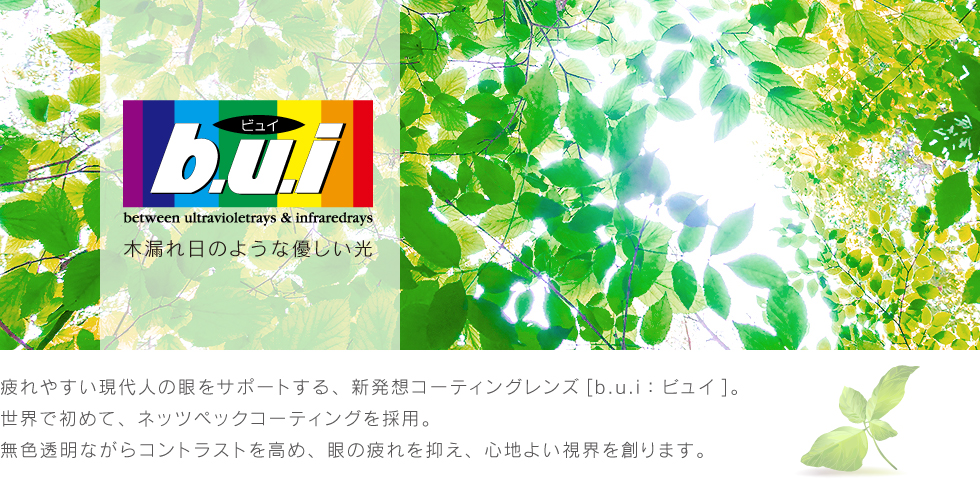 b.u.i:ビュイ